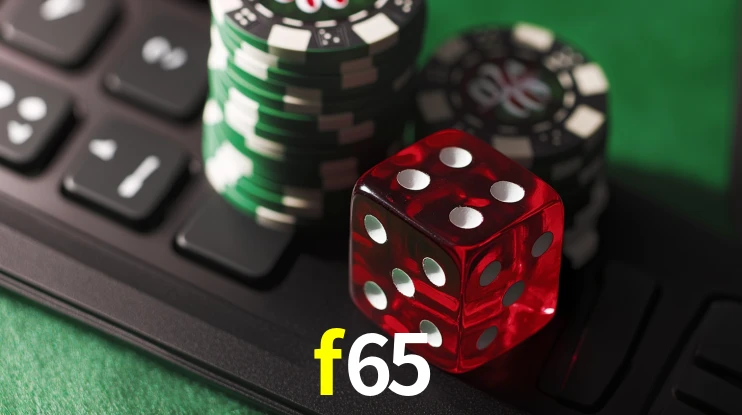 Security Systems f65